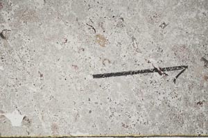 Plane Polarized, S60421