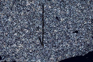 Cross Polarized, S60422