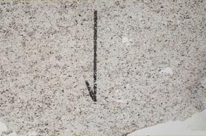 Plane Polarized, S60422