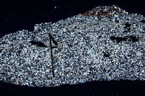 Cross Polarized, S60423