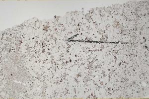 Plane Polarized, S60425