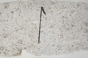 Plane Polarized, S60426