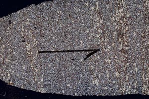 Cross Polarized, S60427