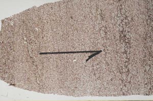 Plane Polarized, S60427