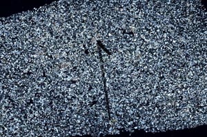 Cross Polarized, S60428