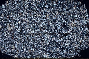 Cross Polarized, S60429