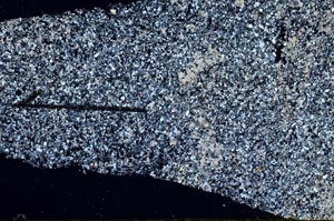 Cross Polarized, S60430