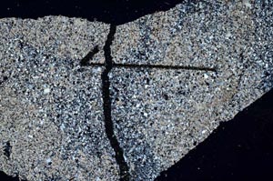 Cross Polarized, S60431