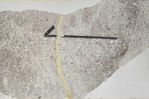 Plane Polarized, S60431