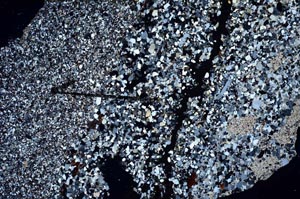 Cross Polarized, S60432