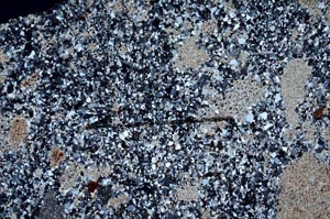 Cross Polarized, S60433