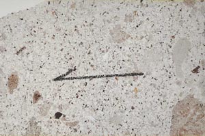 Plane Polarized, S60433