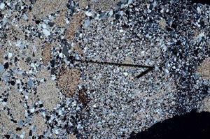 Cross Polarized, S60434