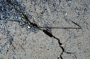 Cross Polarized, S60435