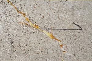 Plane Polarized, S60435