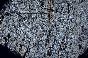 Cross Polarized, S60442