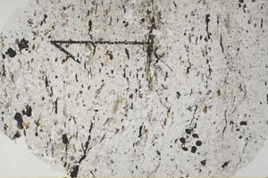 Plane Polarized, S60442