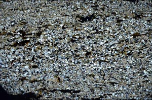 Cross Polarized, S60442/A