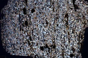 Cross Polarized, S60442/B