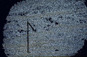 Cross Polarized, S60443