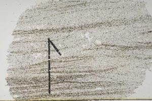 Plane Polarized, S60443