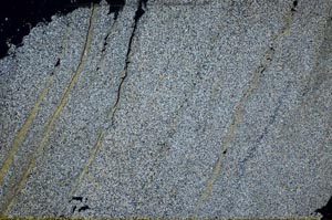 Cross Polarized, S60447