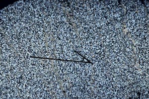 Cross Polarized, S60448