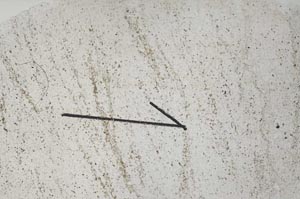 Plane Polarized, S60448