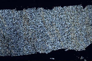 Cross Polarized, S60448/A