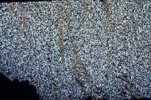 Cross Polarized, S60448/B