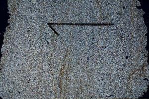 Cross Polarized, S60449