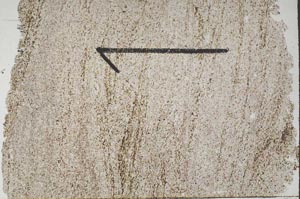 Plane Polarized, S60449