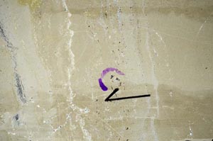 Cross Polarized, S60450