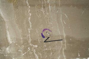 Plane Polarized, S60450