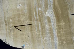 Cross Polarized, S60451