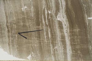 Plane Polarized, S60451