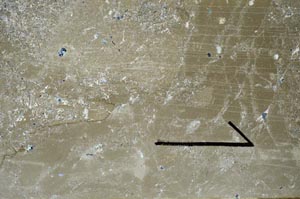 Cross Polarized, S60452