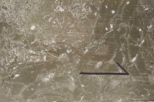 Plane Polarized, S60452