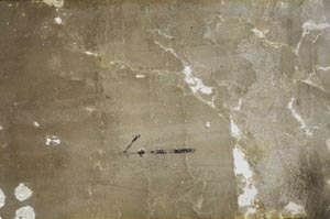 Plane Polarized, S60458