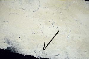 Cross Polarized, S60458/A