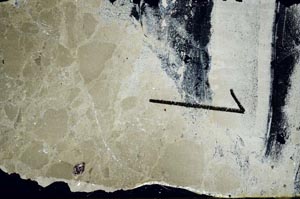 Cross Polarized, S60461