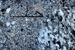 Cross Polarized, S60462