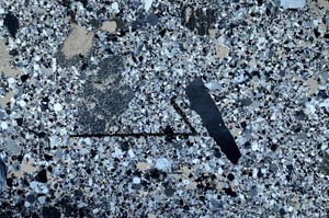 Cross Polarized, S60463