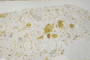 Plane Polarized, S60463/A