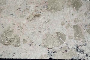 Cross Polarized, S60464/A