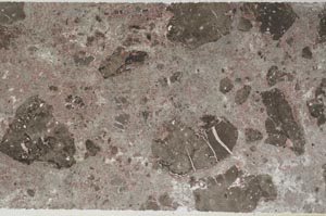 Plane Polarized, S60464/A