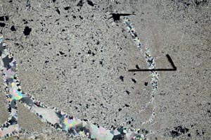 Cross Polarized, S60465