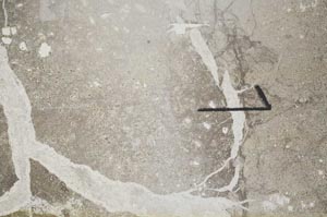 Plane Polarized, S60465