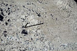 Cross Polarized, S60466