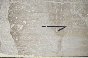 Plane Polarized, S60466/A